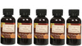 Hosley 5-Pack Honey Pumpkin Pie Fragrance Warming Oils, 56ml Each