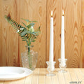 Hosley Set of 48 Glass Taper Candle Holders, 2.5"