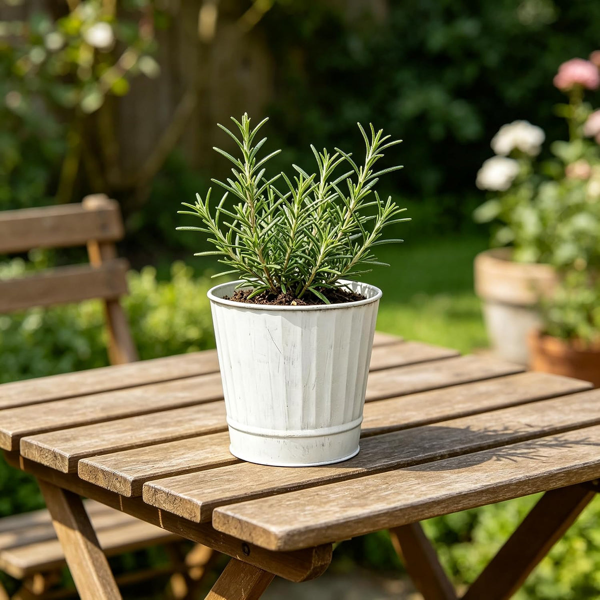 Hosley Set of 2 White Wash Metal Planters 5 Inch Rustic Farmhouse