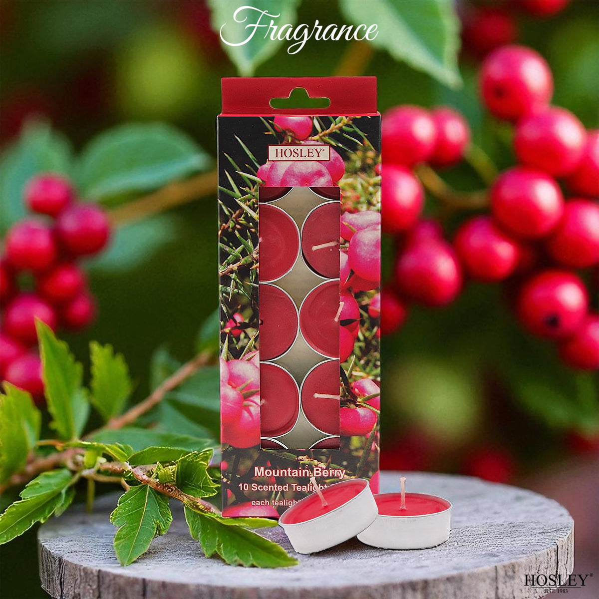 120 PCs Bulk Pack Mountain Berry Fragrance Highly Scented Tea Light Candle. Ideal for Wedding Church Vigil Emergency Lanterns Spa Aromatherapy Party Reiki Candle Garden