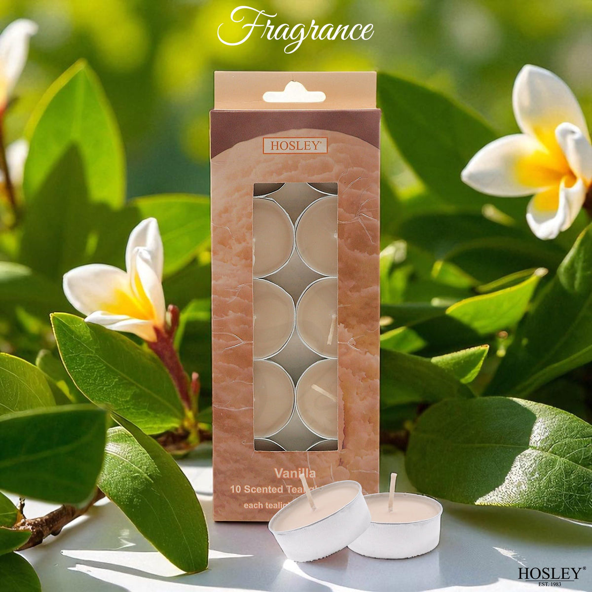 Hosley 120 PCs Bulk Pack Vanilla Fragrance Highly Scented Tea Light Candle. Ideal for Wedding Church Vigil Emergency Lanterns Spa Aromatherapy Party Reiki Candle Garden.