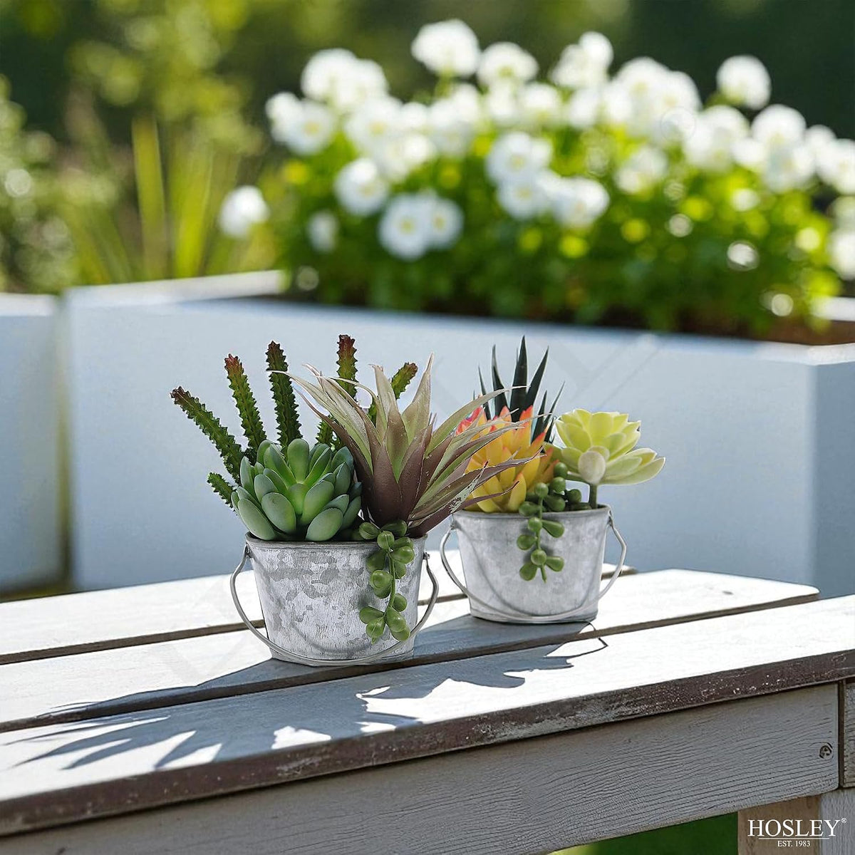 Hosley Set of 6 Mini Oval Galvanized Planters 3.8 Inch for Crafts