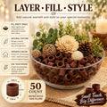 Hosley 50Pcs Rustic Wood Bottle Cap Rings for DIY Crafts