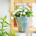 Hosley Set of 2 Galvanized Wall Planters 10 Inch Hanging Metal Pots
