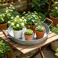 Hosley Set of 2 Galvanized Serving Trays, 16 Inch, Wooden Handles