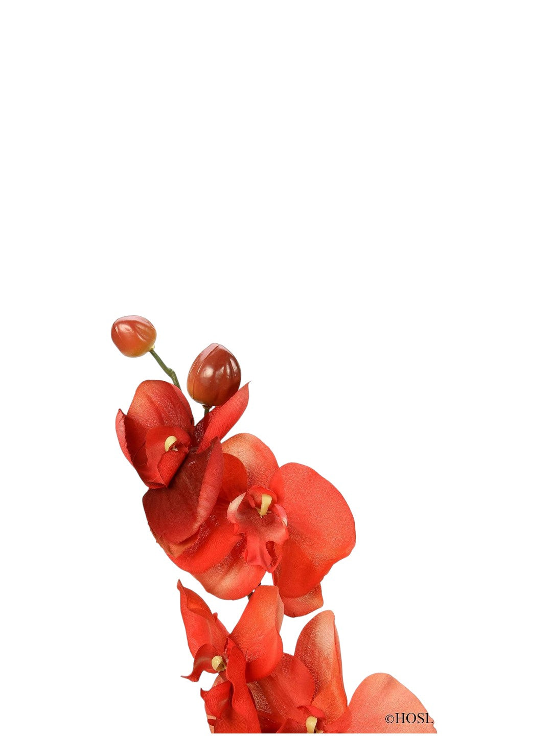 Set of 6 Floral Stem Orchid Phalaenopsis Salmon. Great for use Vases Gift for Home Wedding Spa and Party. O6