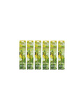 Serenity Patchouli Incense Sticks Essential Oils Infusion for Long-Lasting Aromatherapy Bliss Holistic Relaxation in Every Box Pack of 240 Incense Stick